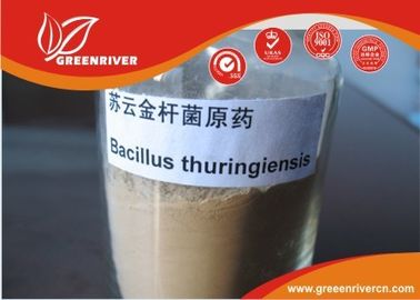 White powder Bacillus thuringiensis Insecticide for lepidopterous larvae control